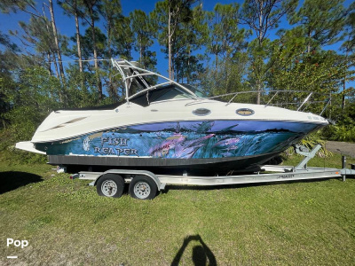 2006 Sea Ray Amberjack 270