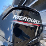 2025 Mercury