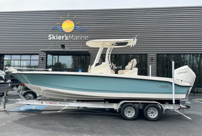 2025 Boston Whaler 250 Dauntless