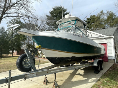 2001 Aquasport 250 Explorer