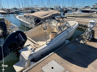 2023 Scout 210 Dorado