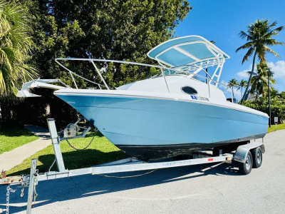 2005 Hydra Sports 21 WALKAROUND