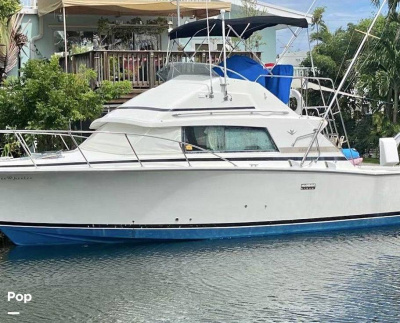 1984 Bertram Sportfisherman