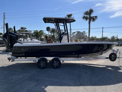 2026 Robalo 246 CAYMAN