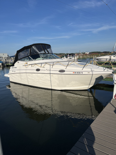 1999 Cruisers 2870 Rouge