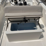 2025 Boston Whaler