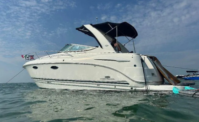 2006 Chaparral 310 Signature