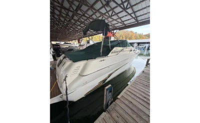 1999 Sea Ray 270 Sundancer Special Edition