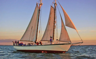 1992 Other Treworgy 65