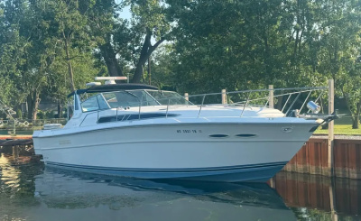 1989 Sea Ray 390 Express Cruiser