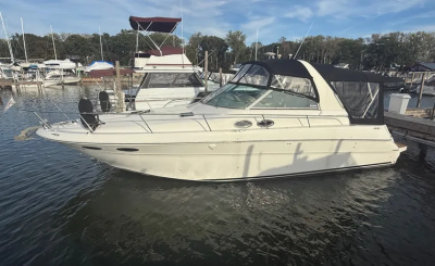 2000 Sea Ray Sundancer 310