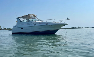 2001 Cruisers 3075 Express