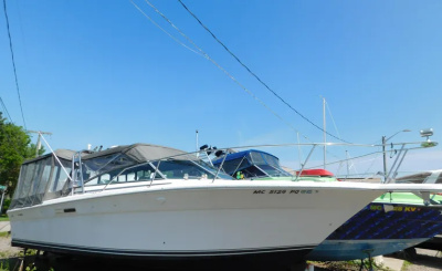 1993 Sea Ray 310 Amberjack