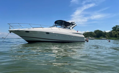 2006 Regal Commodore 3560 IO