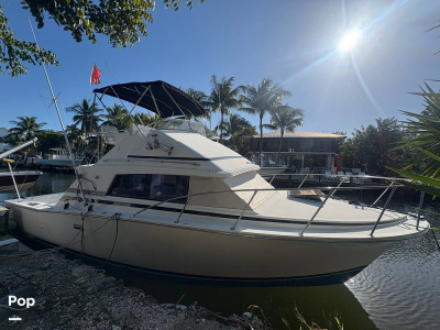 1984 Bertram 33 Sportfisherman