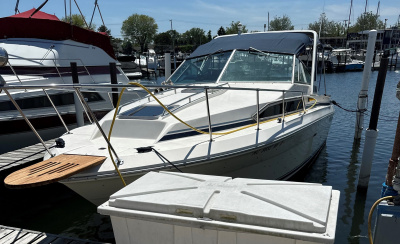 1987 Sea Ray 270 Sundancer
