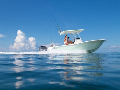 2019 Sea Fox 248 Commander