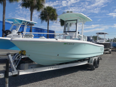 2022 Robalo 246 Cayman