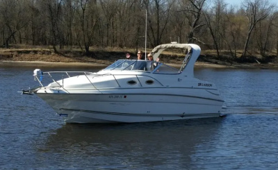 2004 Larson Cabrio 260