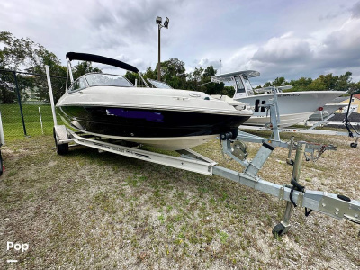 2018 Stingray 198 LX