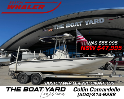 2007 Boston Whaler 220 Dauntless
