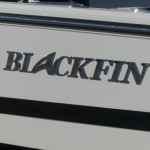 2026 Blackfin