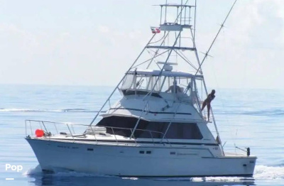 1981 Bertram 42 Sportfish