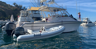 2026 Novurania 430 DL