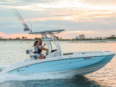 2019 Yamaha 210 FSH Sport