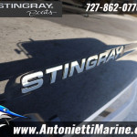 2026 Stingray