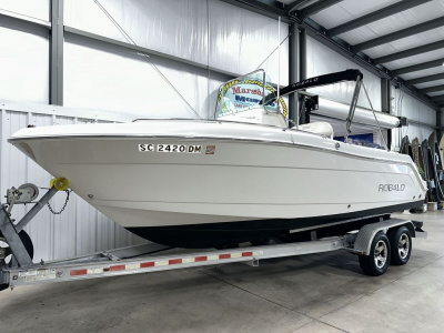 2010 Robalo R220