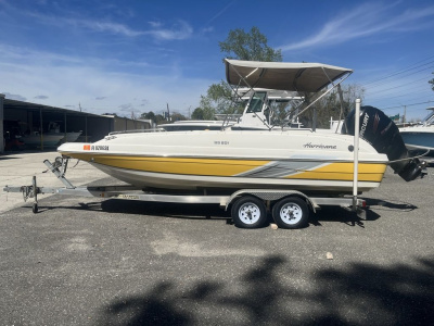 2017 Godfrey HURRICANE SS 201