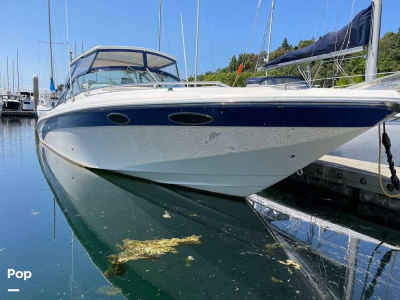 1995 Sea Ray Sunsport 310