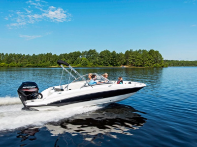 2017 Stingray 191DC O/B