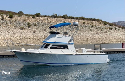 1985 Blackman Billfisher