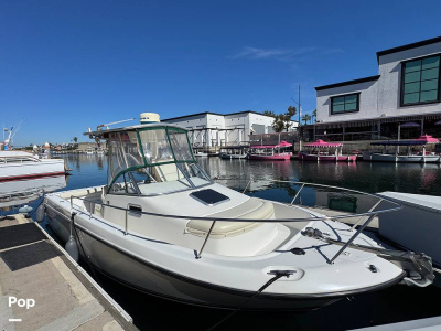 2001 Shamrock 246 WA