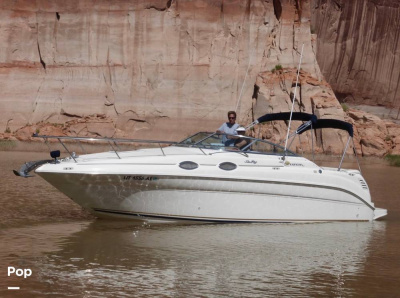 2000 Sea Ray Sundancer 290