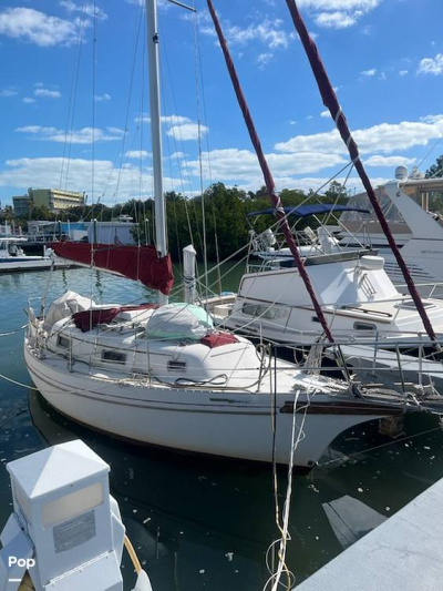 1986 Bayfield 29