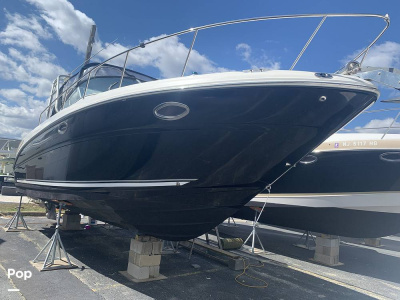 2006 Sea Ray Amberjack 290