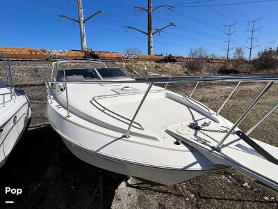 1997 Larson Cabrio 310