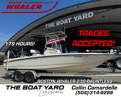 2011 Boston Whaler 230 Dauntless