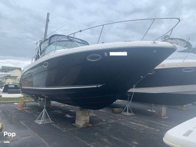 2006 Sea Ray Amberjack 290