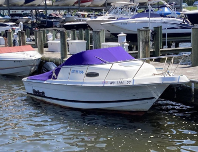1999 Wellcraft 22 Walkaround
