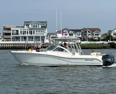 2016 World Cat 295 DC