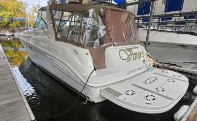 2000 Sea Ray Sundancer 460