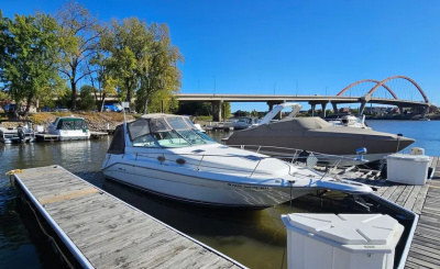 1996 Sea Ray 290 Sundancer