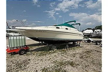 1995 Sea Ray 250 Sundancer