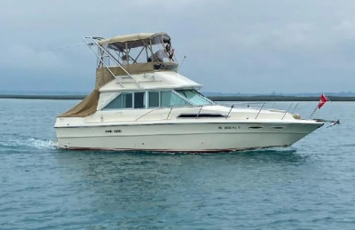 1987 Sea Ray 340 Sedan Bridge