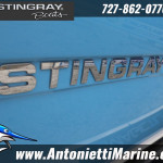 2026 Stingray