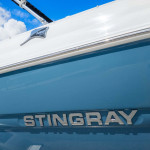 2025 Stingray